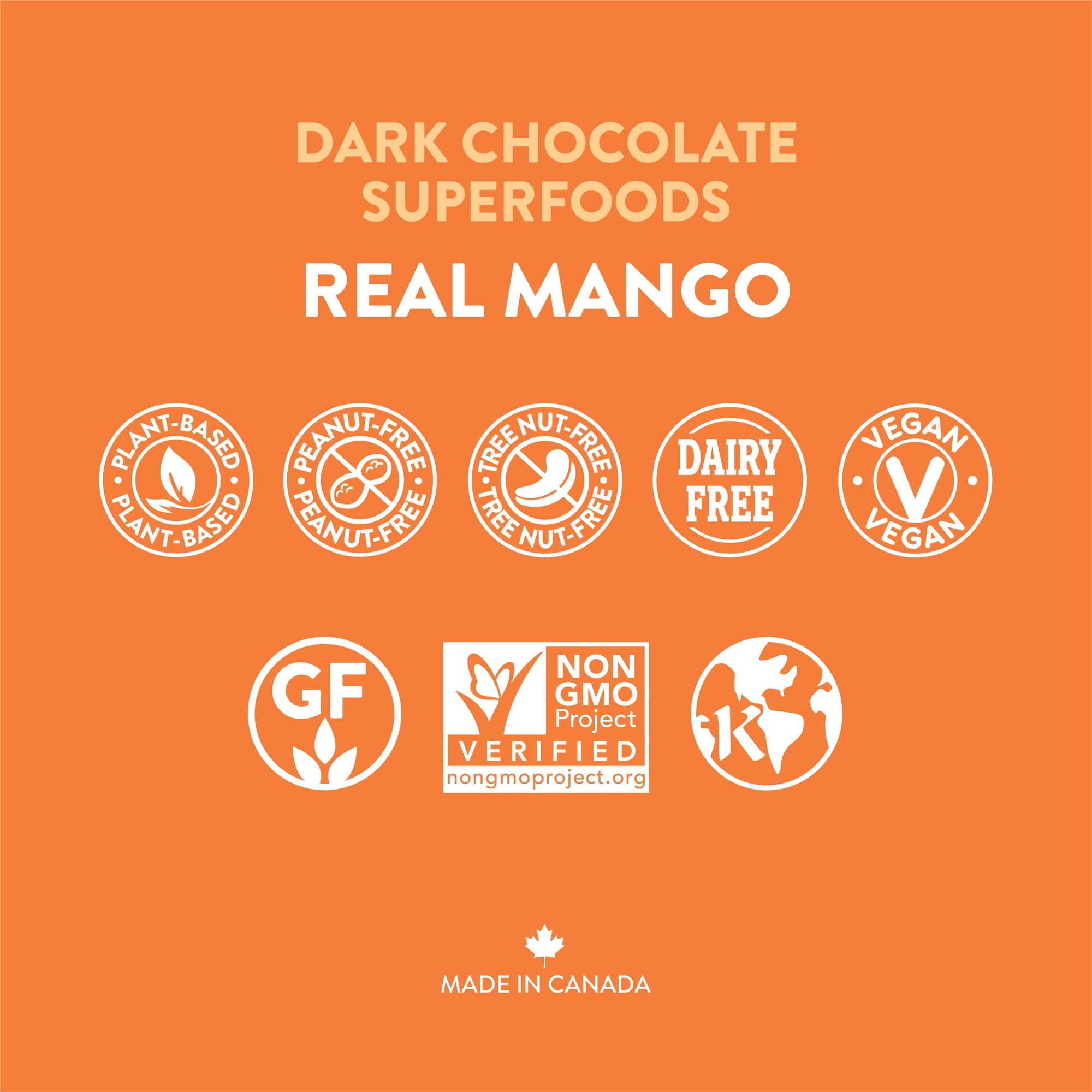 Mango Dark Chocolate Superfoods